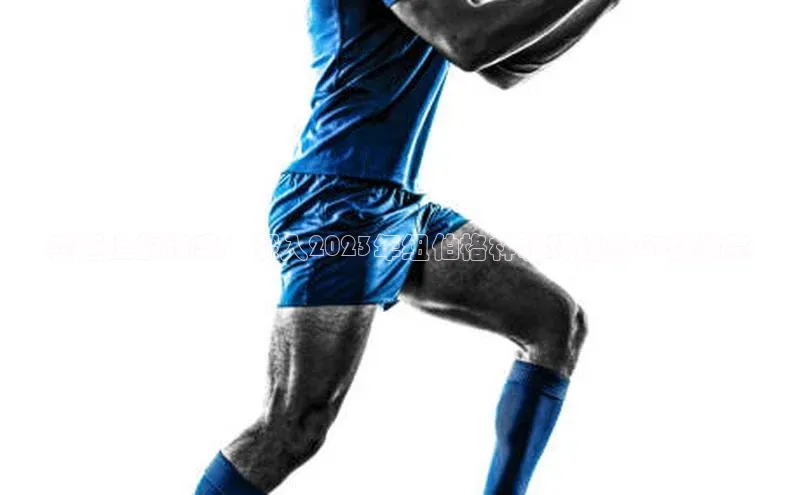 XC体育登录入口官网