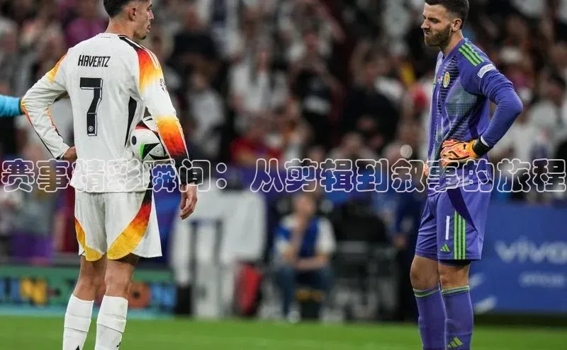 杏彩登录平台手机版