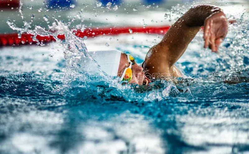 杏彩登录平台手机版